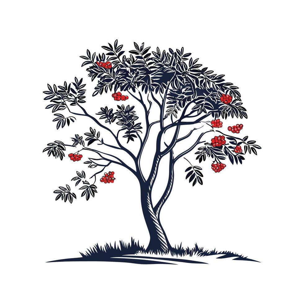 Mountain Ash Tree Bold Outline for Unique Art vector