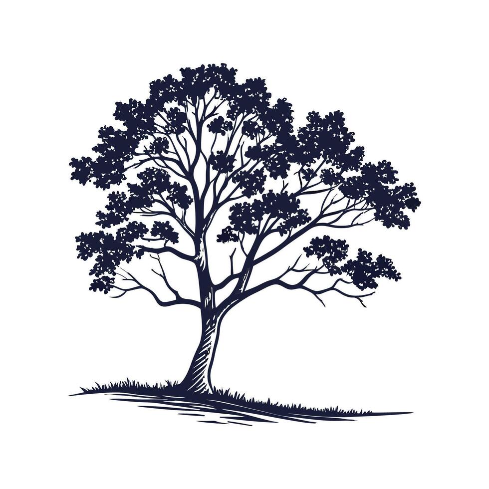Stylish Norway Maple Tree Bold Outline Design vector