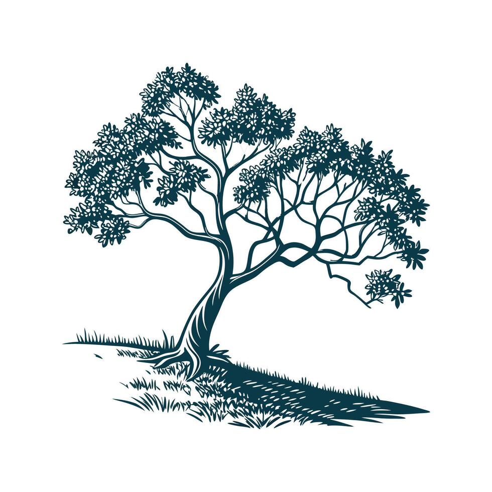 Pond Apple Tree Bold Outline for Unique Art vector