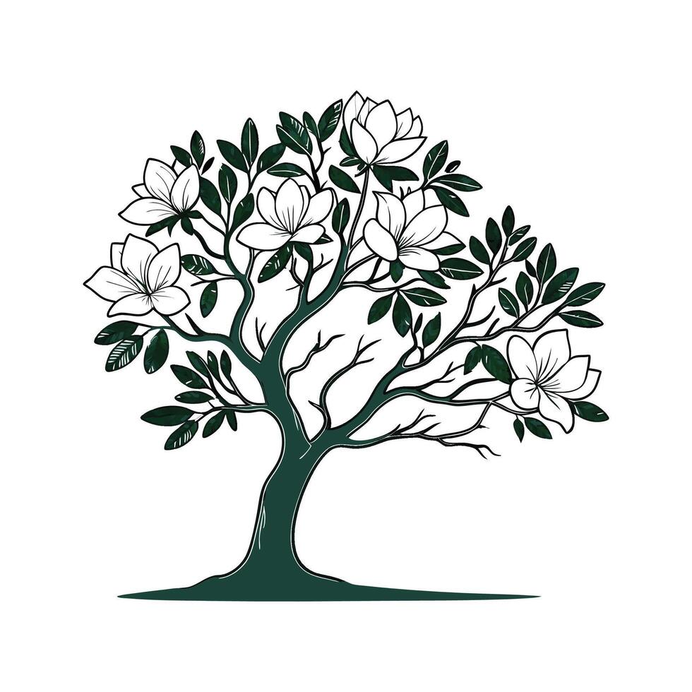 Charming Queen Magnolia Tree Outline for Art vector