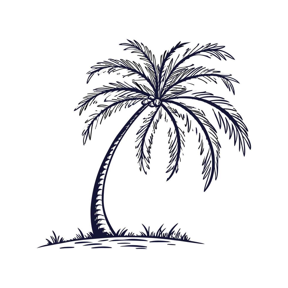 Queen Palm Tree Bold Outline for Unique Art vector