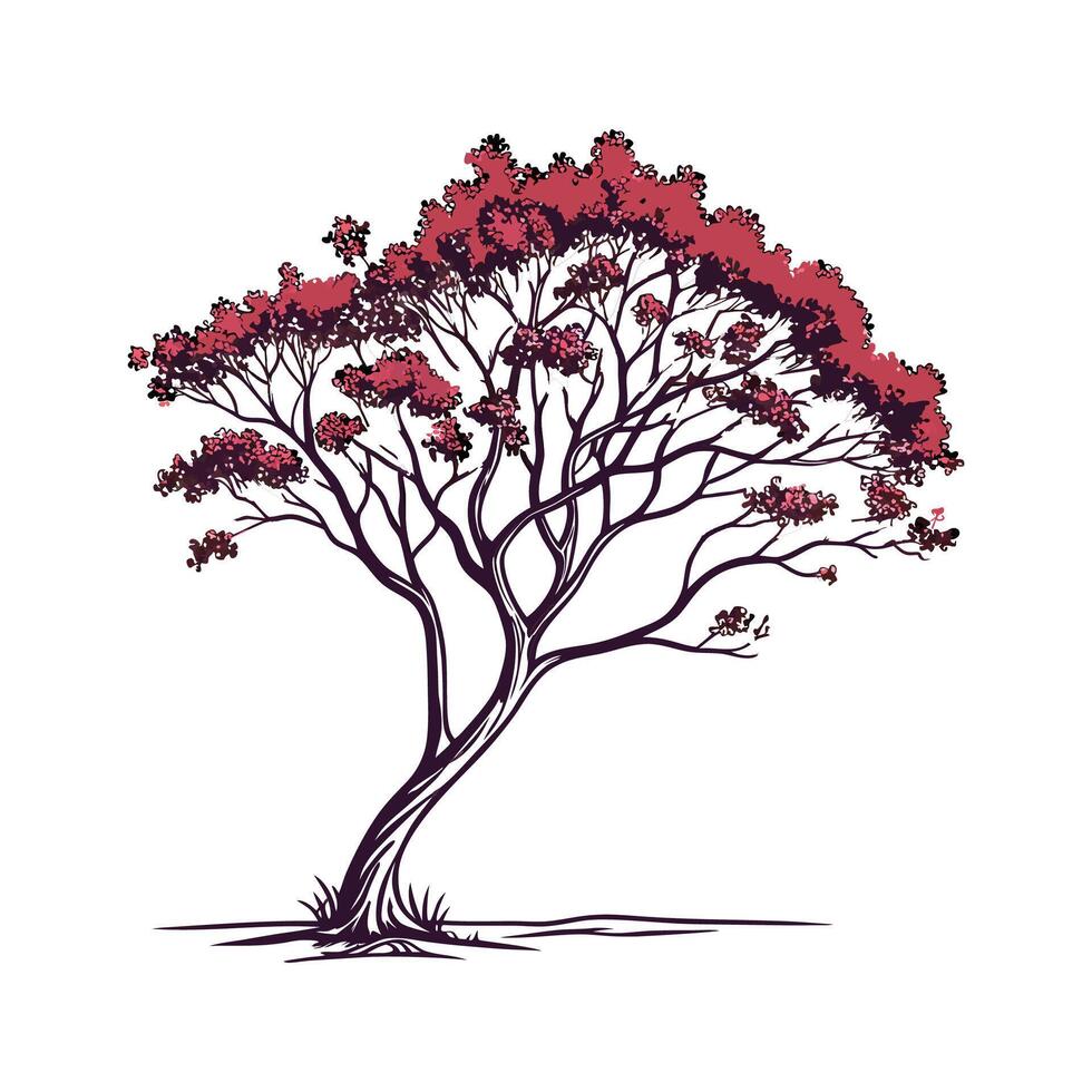 Charming Queens Crape Myrtle Tree Outline for Design vector
