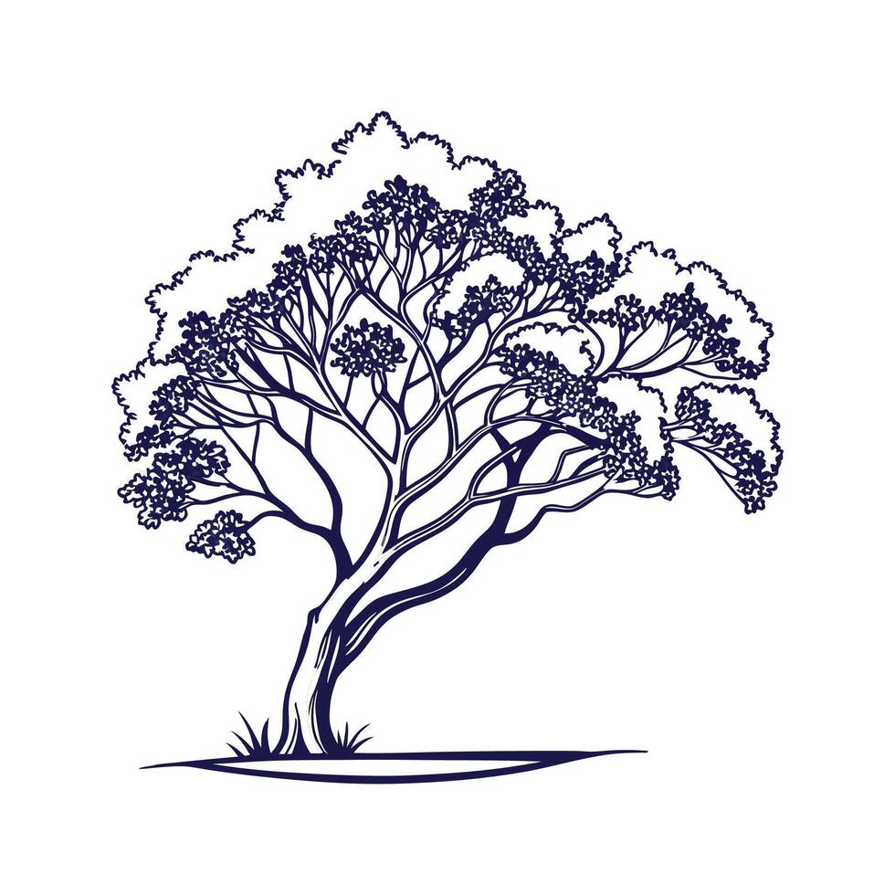 Queens Crape Myrtle Tree Bold Outline for Art vector