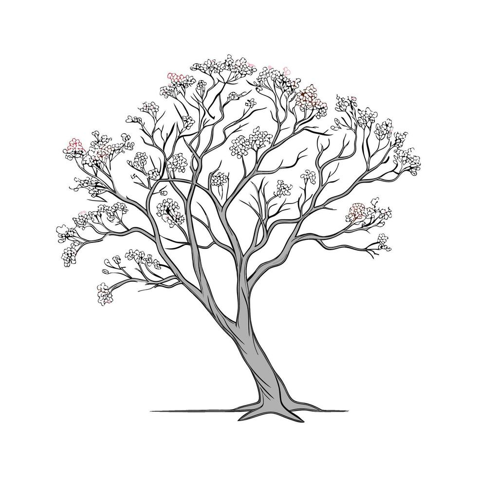 Queens Crape Myrtle Tree Outline for Unique Illustrations vector