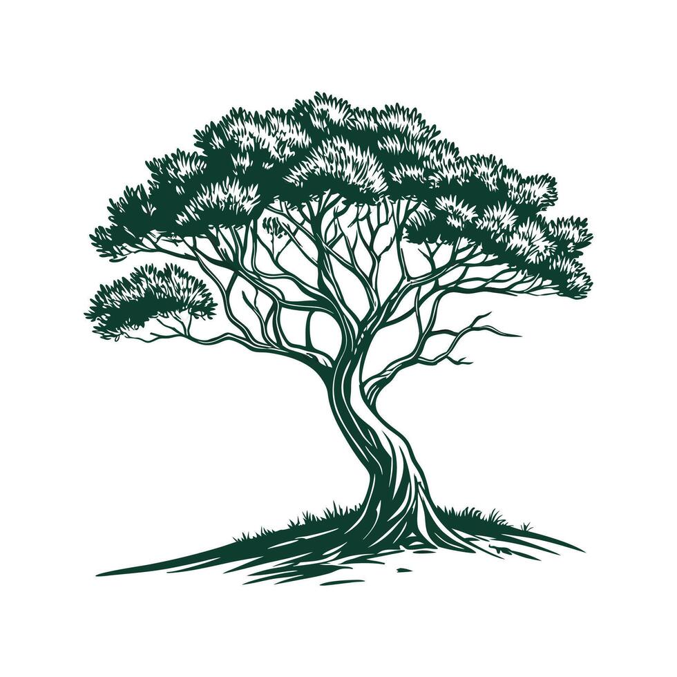 Charming African Olive Tree Outline for Design vector