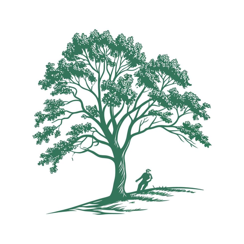 Charming American Linden Tree Outline for Design vector