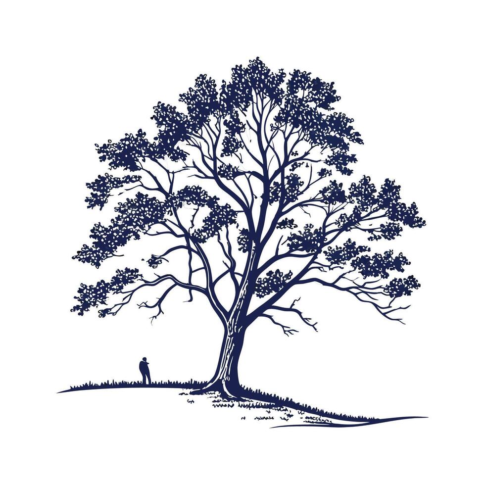 Realistic American Linden Tree Bold Outline for Art vector