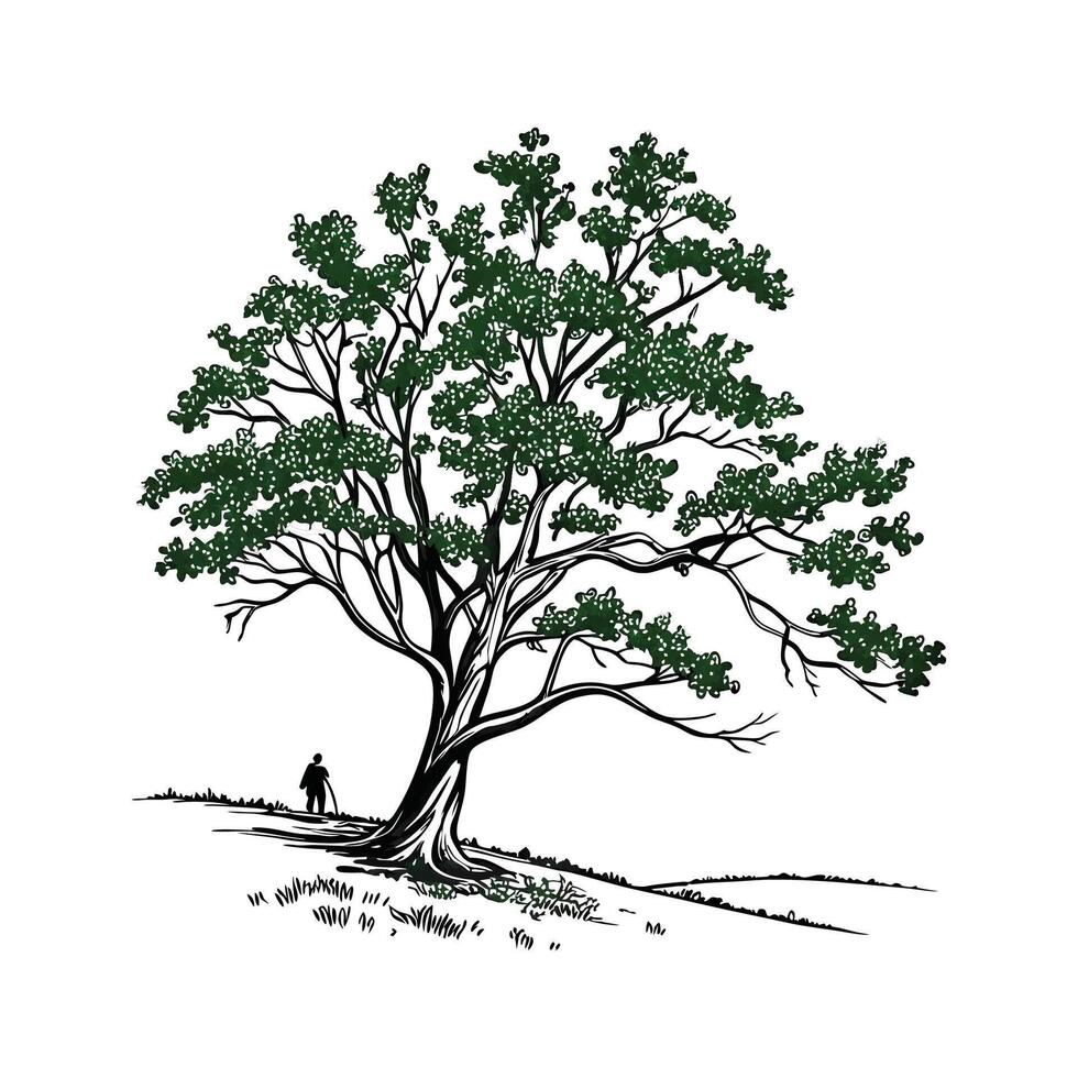 Stylish American Linden Tree Bold Outline Art vector
