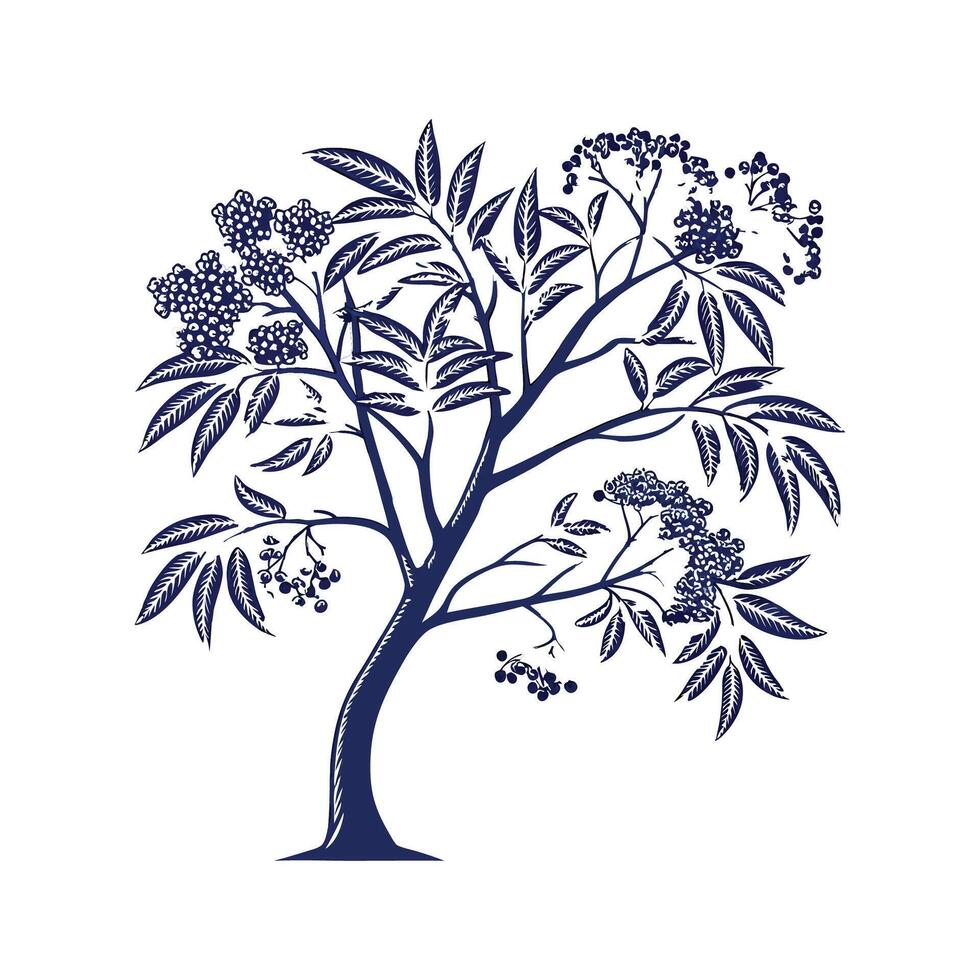 Realistic Blue Elderberry Tree Bold Outline for Unique Art vector