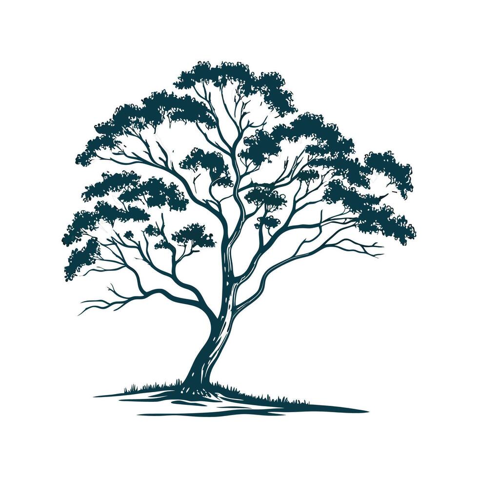 Charming Blue Gum Eucalyptus Tree Outline for Design vector