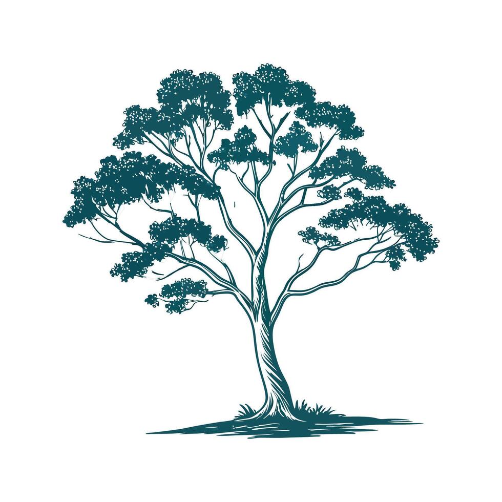 Realistic Blue Gum Eucalyptus Tree Bold Outline Art vector
