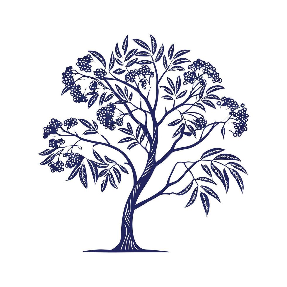 Stylish Blue Elderberry Tree Bold Outline Design vector