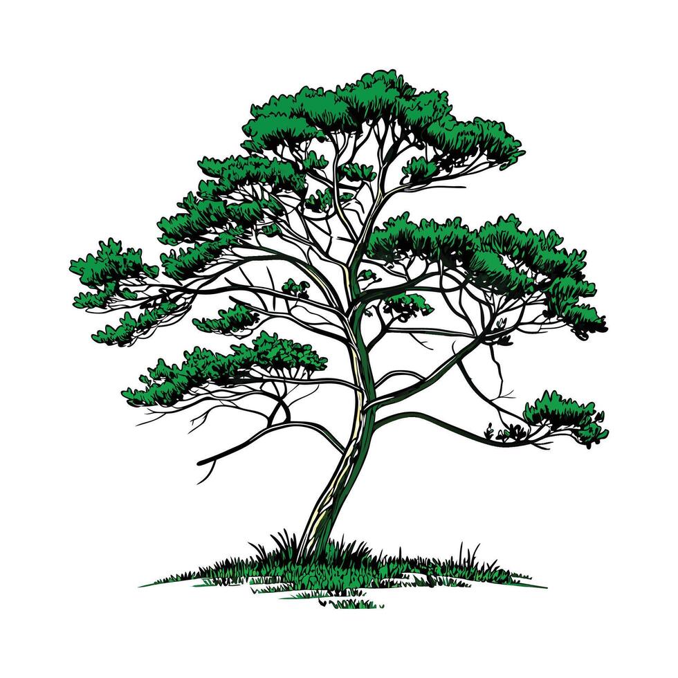 Stylish Brazilian Pine Tree Bold Outline Art vector