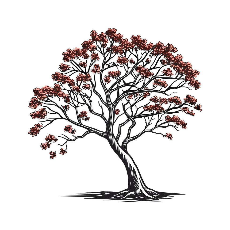 Stylish Burmese Padauk Tree Bold Outline Art vector