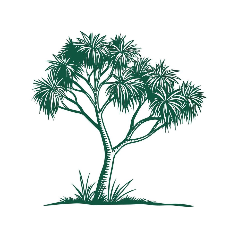 Realistic Cabbage Tree Palm Bold Outline for Art vector