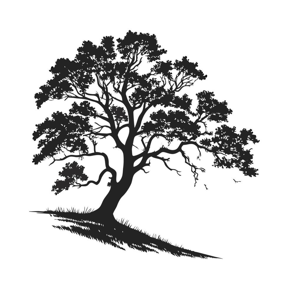 Stylish California Black Oak Tree Bold Outline Art vector