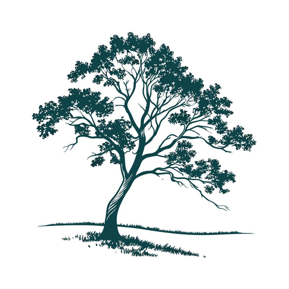 Stylish Butternut Hickory Tree Bold Outline Art vector