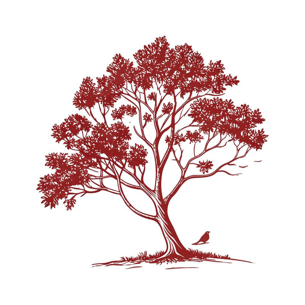 Realistic Carolina Cherry Laurel Tree Bold Outline for Art vector