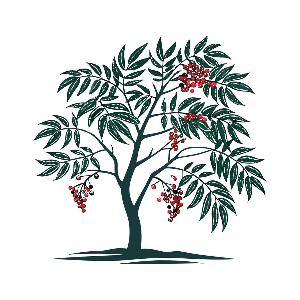 Stylish Chinese Pepper Tree Bold Outline Art vector