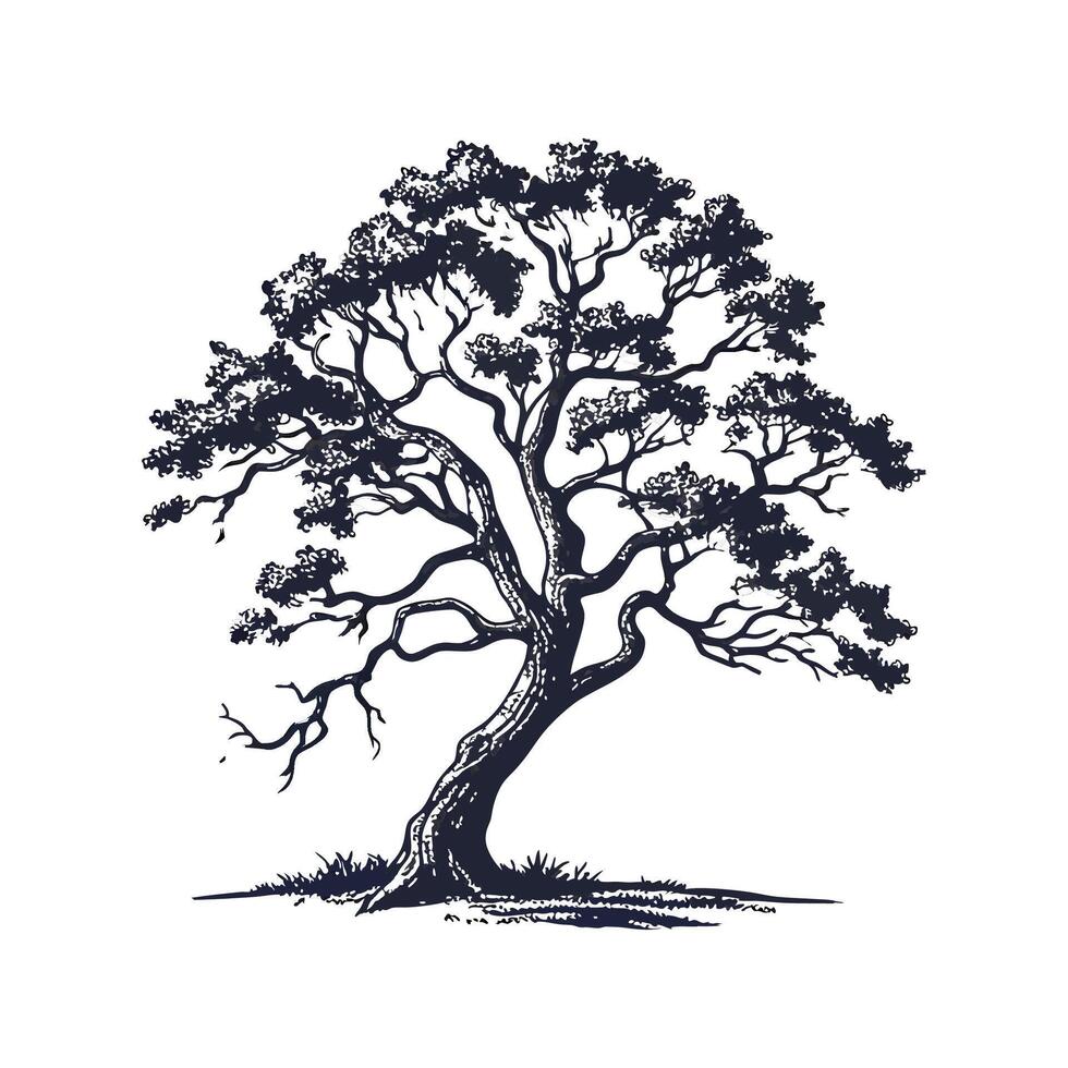 Stylish Corkwood Tree Bold Outline Art vector