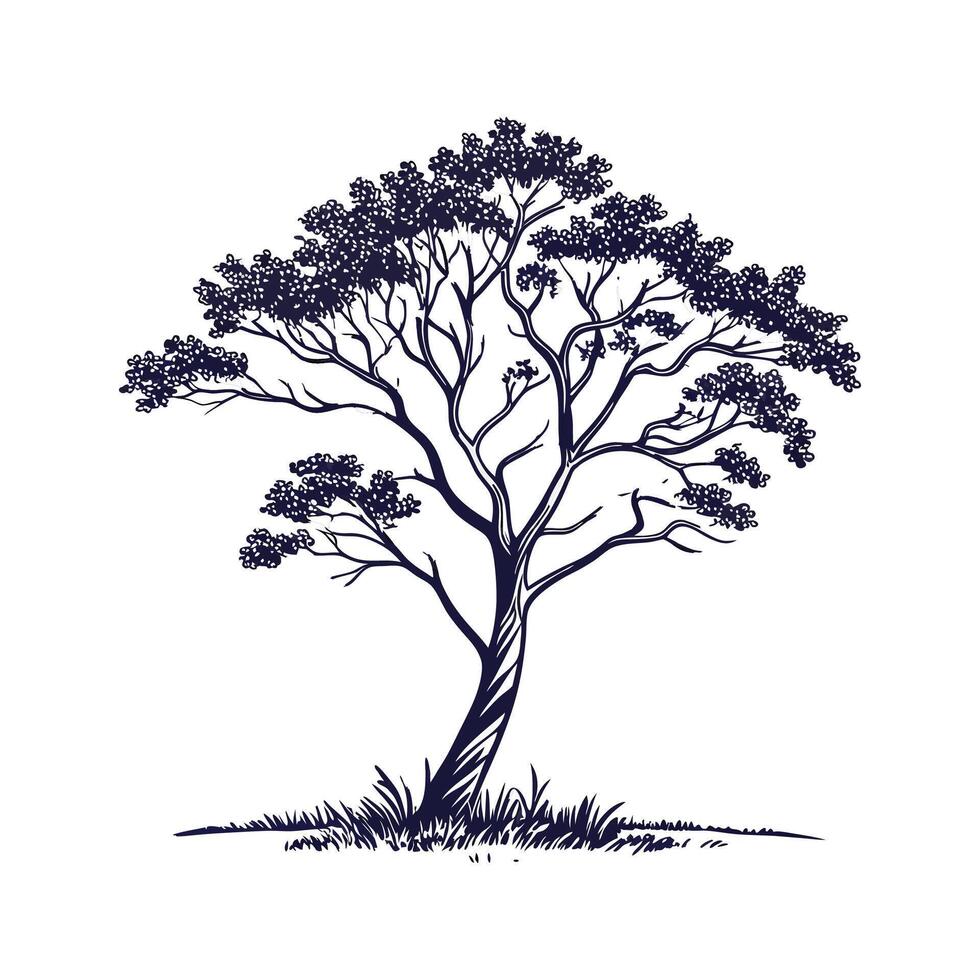 Devils Walking Stick Tree Outline for Unique Illustrations vector