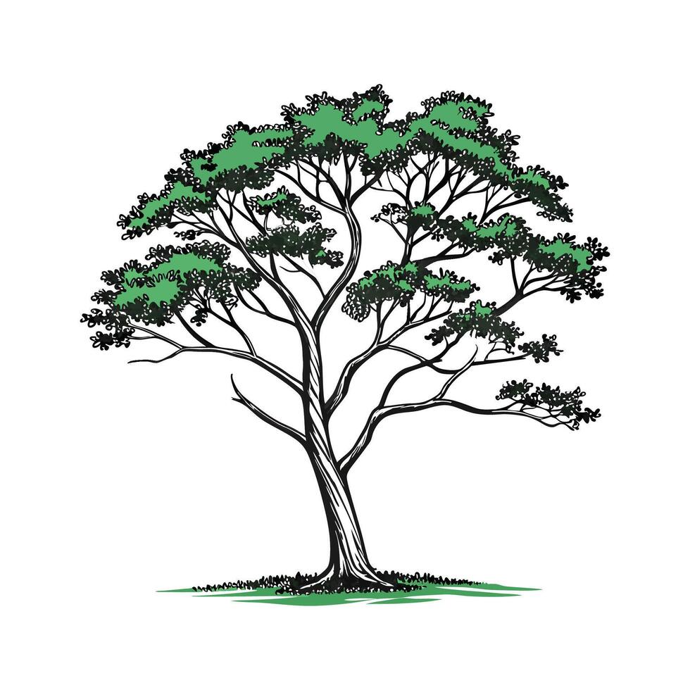 Stylish Florida Mahogany Tree Bold Outline Design vector