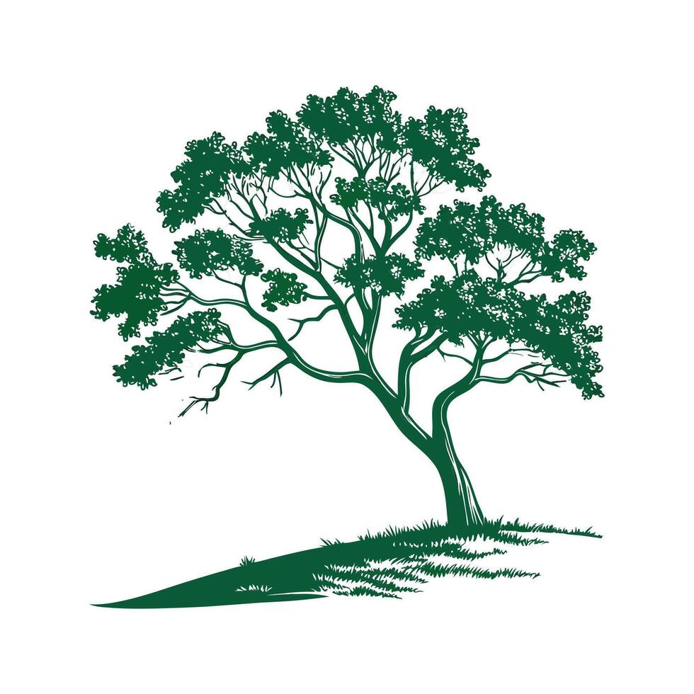 Stylish Indian Bael Tree Bold Outline Art vector