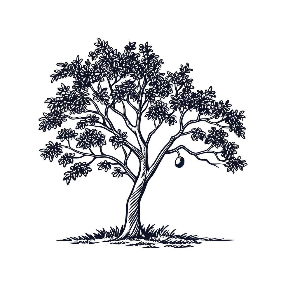 Charming Indian Bael Tree Outline for Design vector