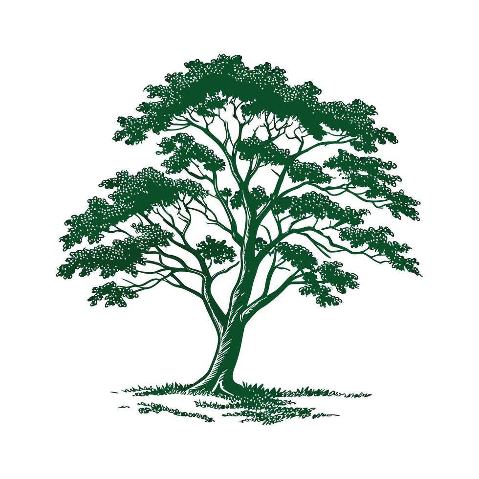 Stylish Indian Sal Tree Bold Outline Art vector