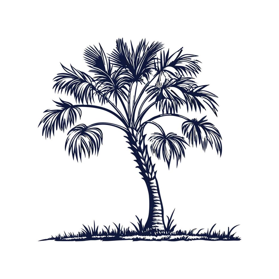 Stylish Japanese Fan Palm Tree Bold Outline Art vector