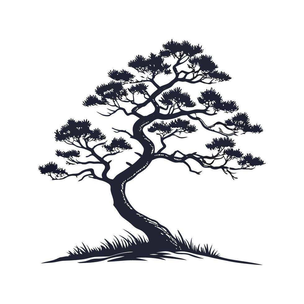 Charming Japanese White Pine Tree Outline for Design vector