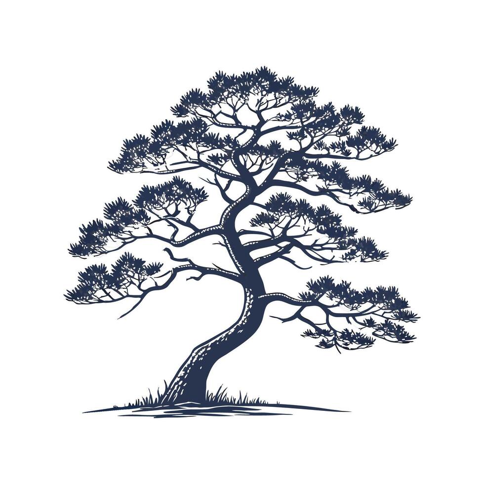 Stylish Japanese White Pine Tree Bold Outline Art vector