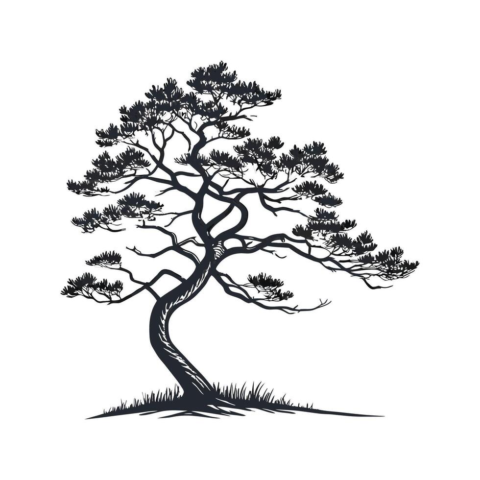 Japanese White Pine Tree Outline for Unique Illustrations vector