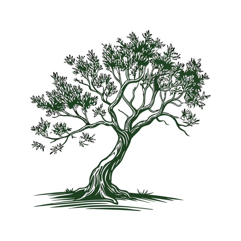 Realistic Madagascar Olive Tree Bold Outline for Unique Art vector