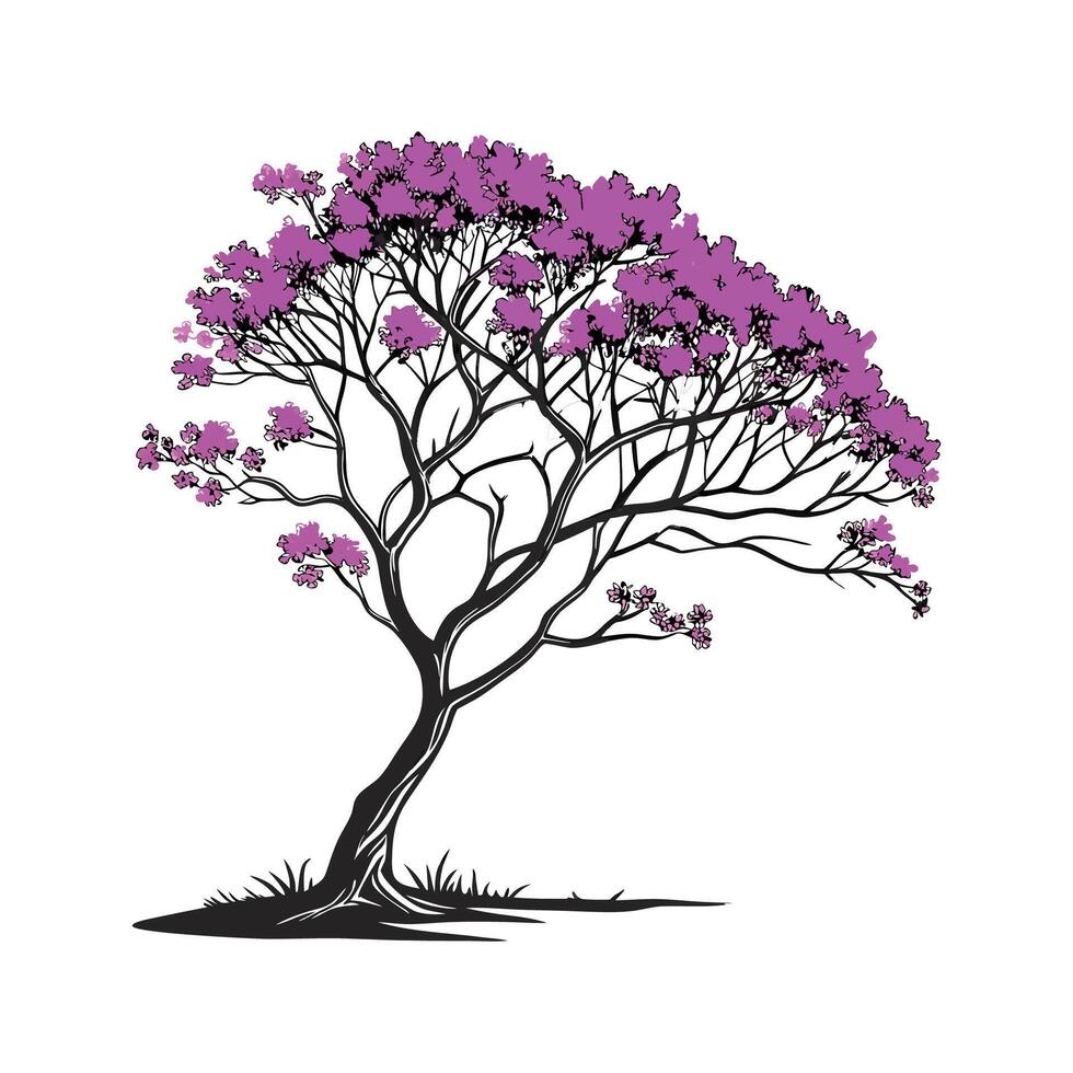 Realistic Purple Orchid Tree Bold Outline for Unique Art vector