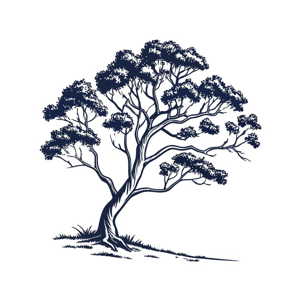 Stylish River Red Gum Tree Bold Outline Art vector
