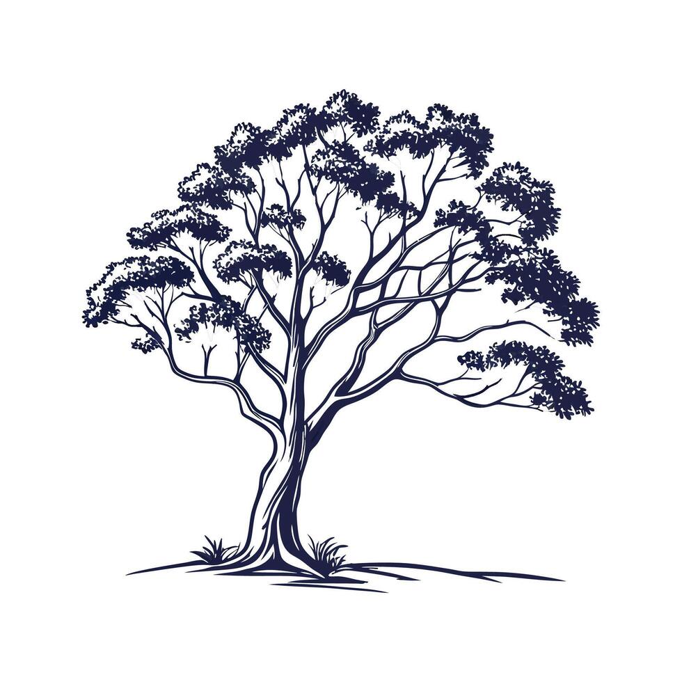 Charming River Red Gum Tree Outline for Design vector