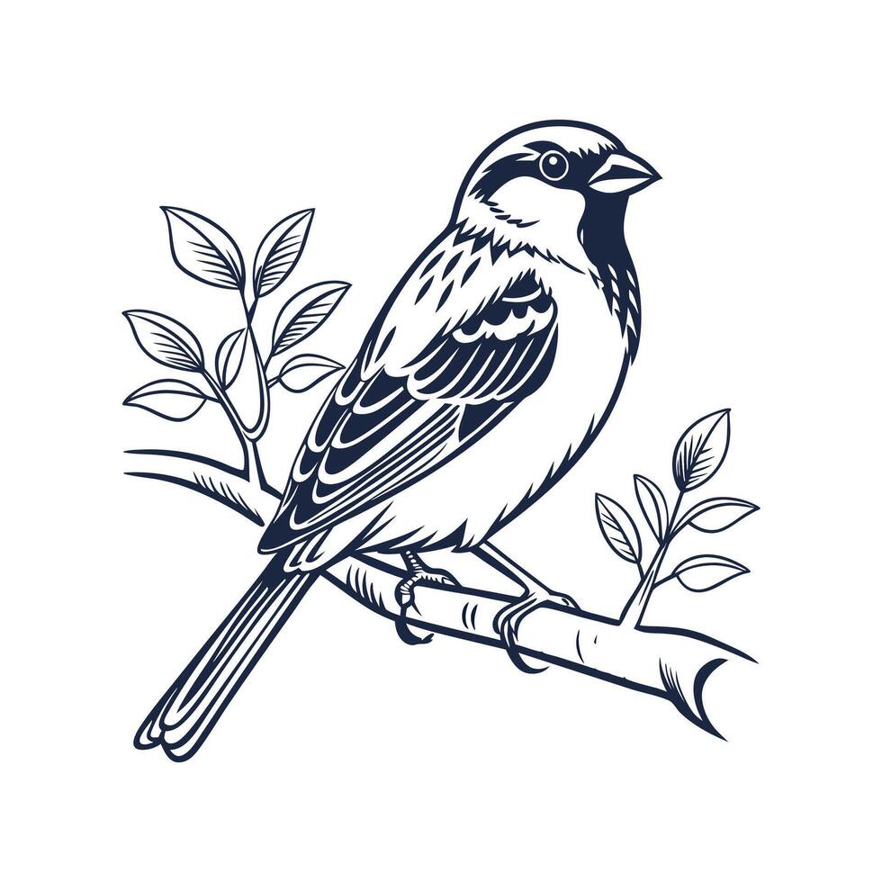 Realistic Sparrow on a Branch Bold Outline for Unique Art vector