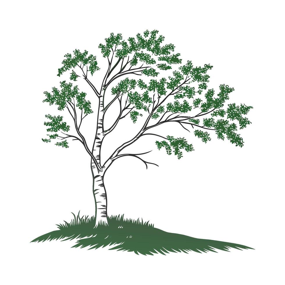 Bold Outline Sweet Birch Tree Design vector