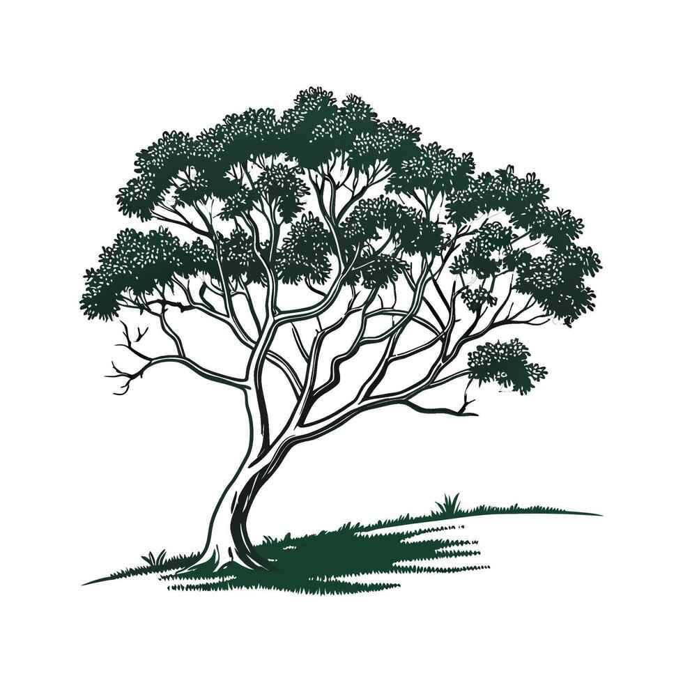 Bold Outline Tasmanian Myrtle Tree Design vector