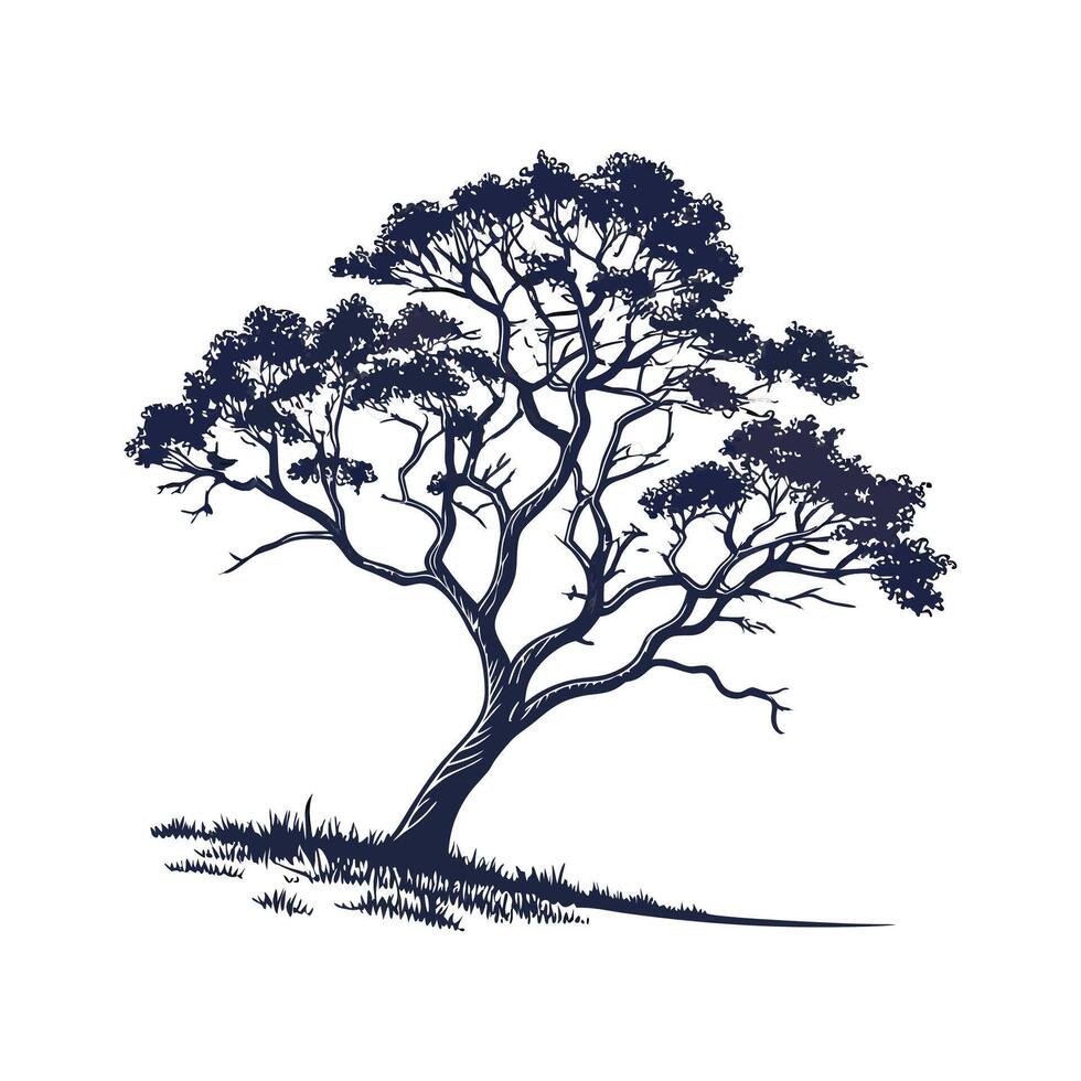 Bold Outline Texas Mesquite Tree vector