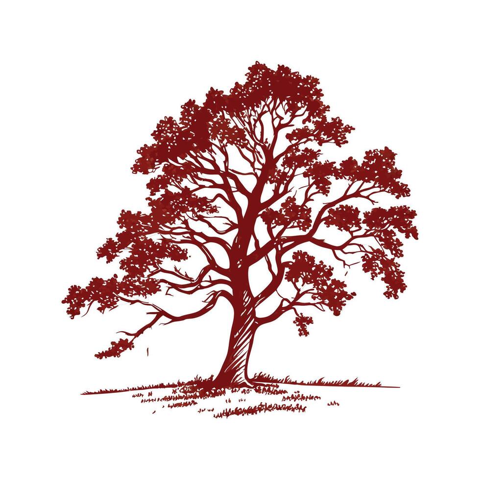 Texas Red Oak Tree Bold Outline vector