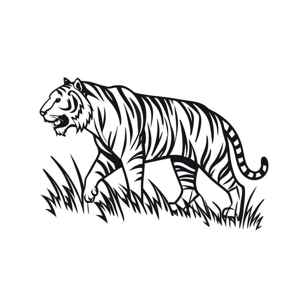 Illustration of Tiger Stalking Design vector