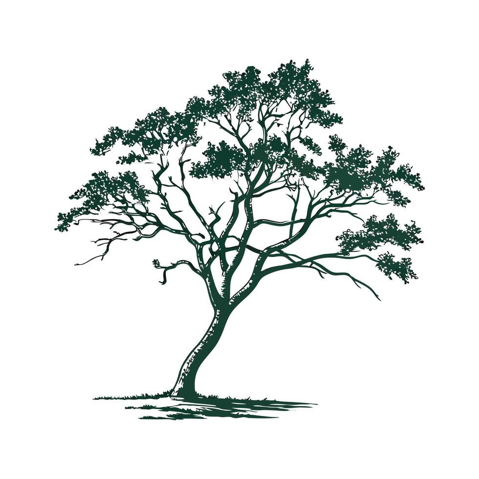 Texas Mesquite Tree Bold Outline Design vector