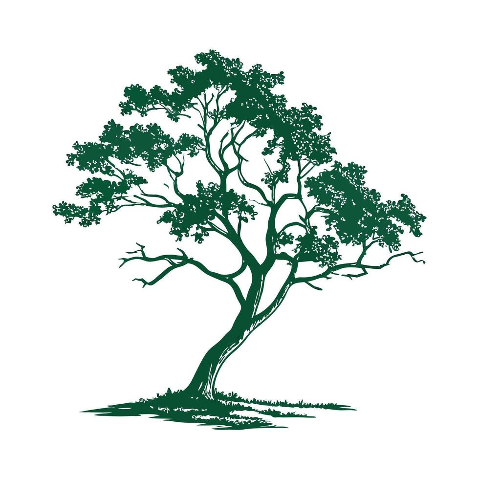 Bold Outline Wild Tamarind Tree Design vector