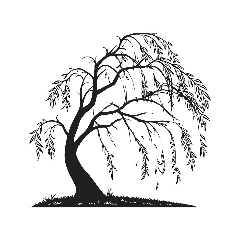 Willow Tree Outline Design vector