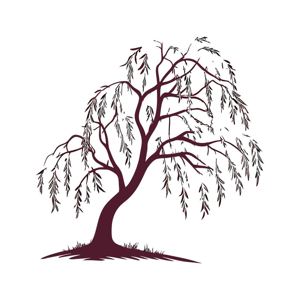 Outline of Willow Tree Bold Design vector
