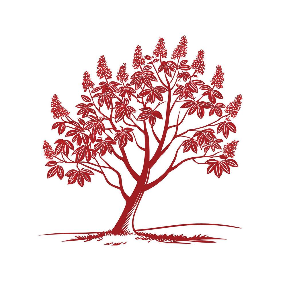 Red Buckeye Tree Bold Outline Design vector