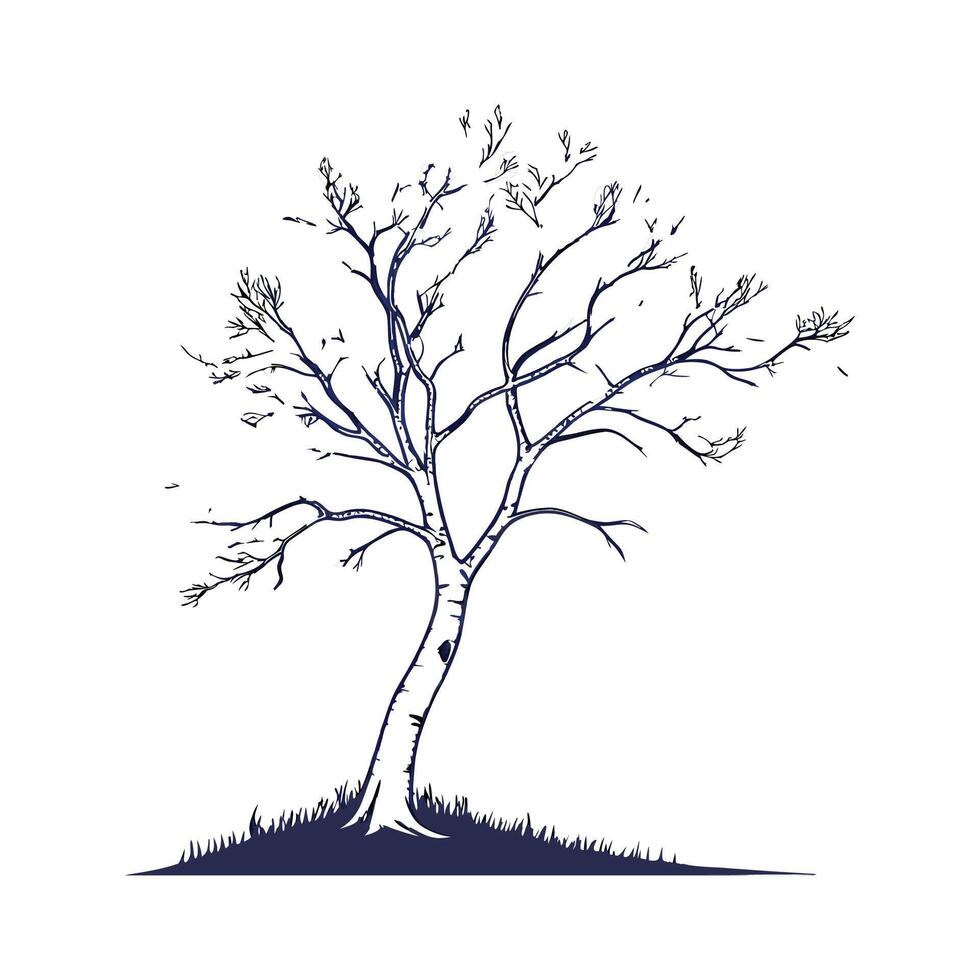 Silver Birch Tree Outline Design vector