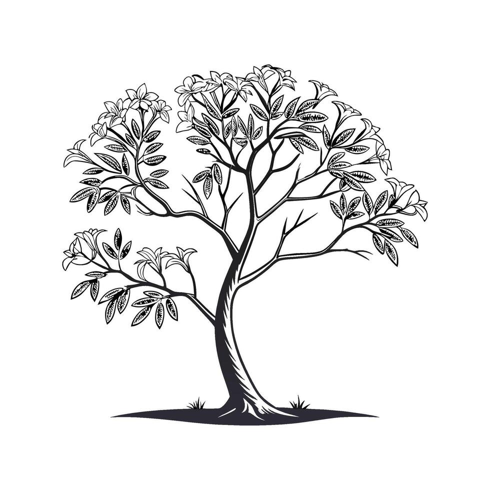 Bold Outline Silver Trumpet Tree vector